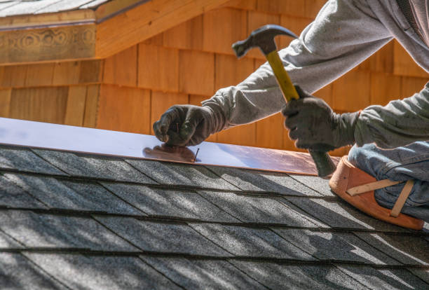 Best Chimney Flashing Repair  in Chaparral, NM