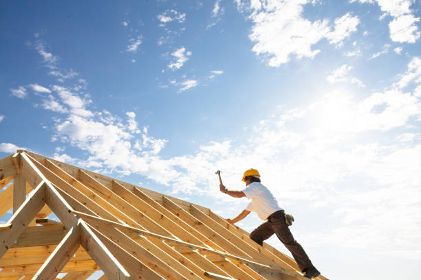 Best Roof Insulation Installation  in Chaparral, NM